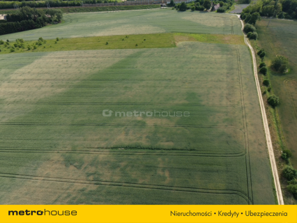 Działki usługowe 1,1 ha - 1 km od Bolesławca