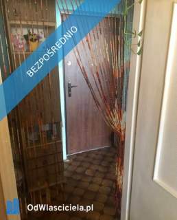 Mieszkani w centrum
