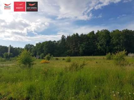 Działka-Łężyce