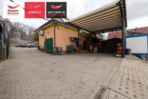 Dom z funkcją handlową mieszkanie i biznes