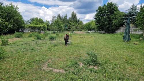 Przestronny dom wolnostojący z dużym ogrodem,