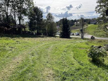 Sprzedam działkę Olszyny Tarnowskie