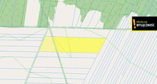 1,67 ha gruntu w cenie 40 000 zł