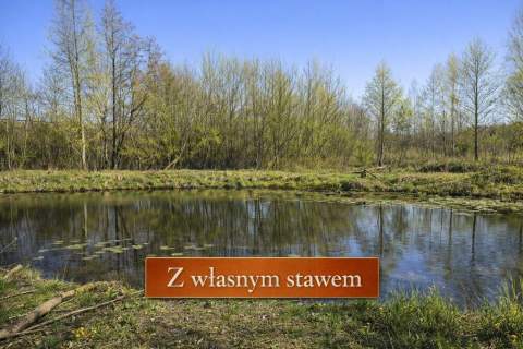 DZIAŁKA Z KLIMATEM - STAW, ZIELEŃ, SPOKÓJ