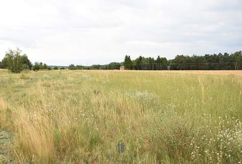 Działka budowlana 8 200 m2
