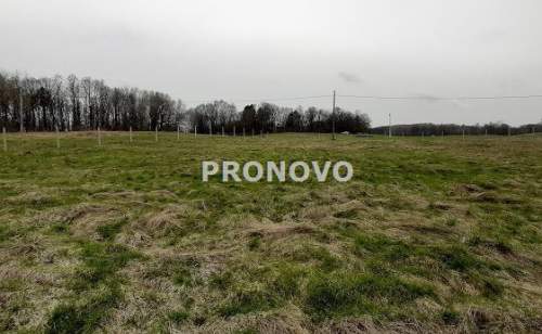 działka budowlana Siecino, Drawsko Po, Złocieniec