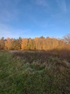 Działka budowlana z warunkami o pow. 1400m2, Dzierzbin