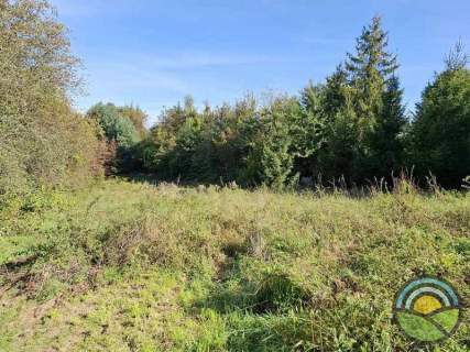 Nielepice gm. Zabierzów - działka budowlana 1600 m2