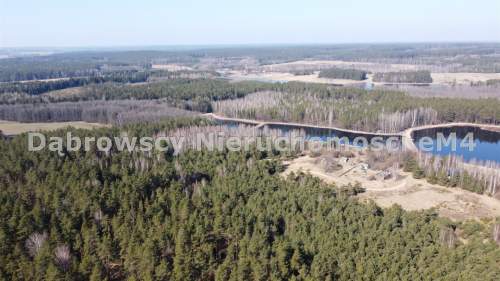Atrakcyjna działka 3368 m2 Glejsk Gródek