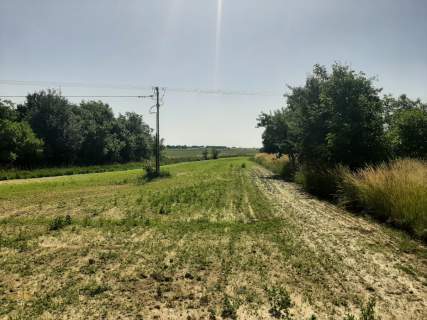 Działka budowlano - rolna Krężnica Jara