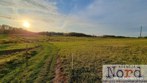 DZIAŁKA NAD CZARNĄ HAŃCZĄ, BUDA RUSKA