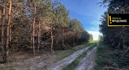 1,67 ha gruntu w cenie 40 000 zł
