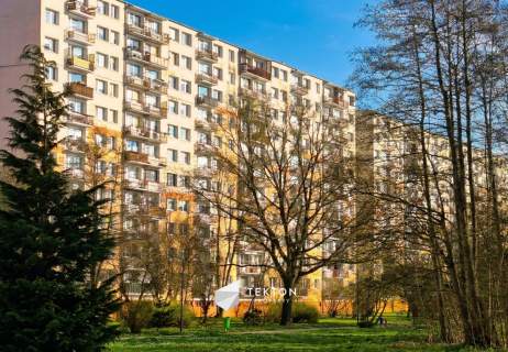 Przestrzeń i komfort w nowoczesnym budownictwie