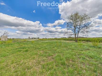 Siedlisko bez sąsiadów 0,41 ha,gm.Drelów