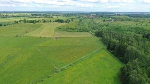 Działka rolna Róże gm Węgorzewo