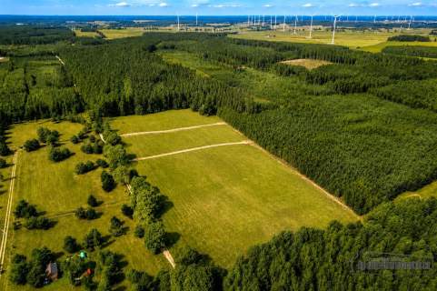 Okolica jeziora Dołgie i kompleksów leśnych.