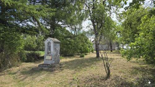 Siedlisko bez sąsiadów 4400 m2 prywatności Stary sad i wę