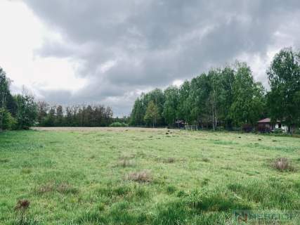 Działka budowlana Teodorów, gm. Skórzec 1390m2