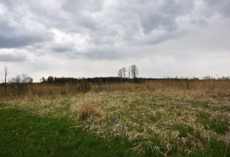 Działka łąka rzeka