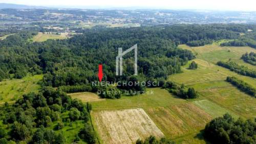 KOMPLEKS DWÓCH DZIAŁEK ROLNO - LEŚNYCH, HARKLOWA, GM. SKOŁYSZYN