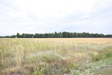 Działka budowlana 8 200 m2