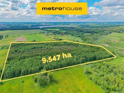 Las inwestycyjny 9,5 ha 770 m   drewna