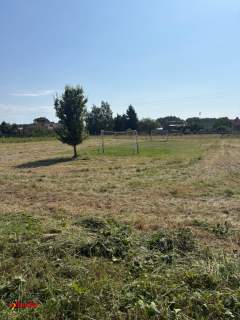 Działka budowlana z warunkami zabudowy/Ostrzeszów Pustkowie/1750m2