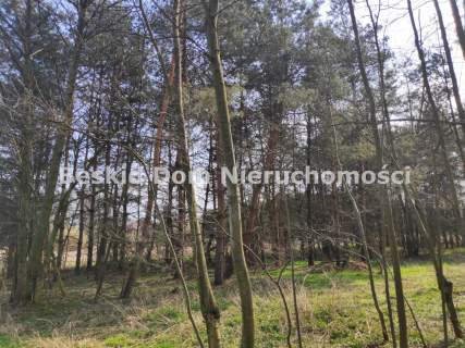 Działka rekreacyjna na sprzedaż, 1401 m2, Dankowice