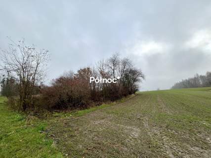 Działki rolne w okazyjnej cenie Tymin