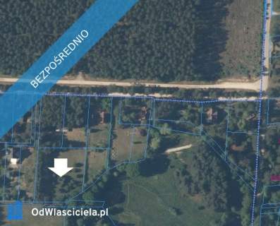 Działka w lesie