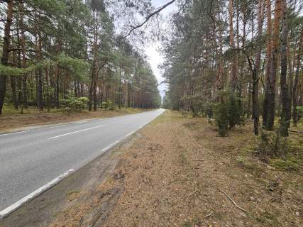 Na sprzedaz dzialka- lesna