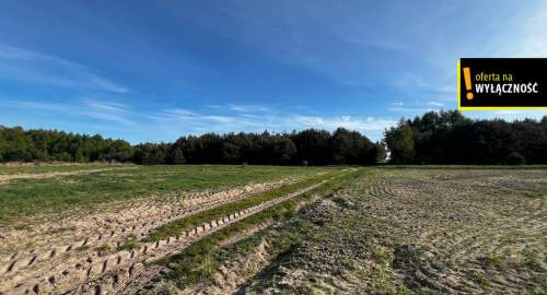1,67 ha gruntu w cenie 40 000 zł