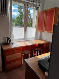 Mieszkanie do wynajęcia, 32 m2, Łódź