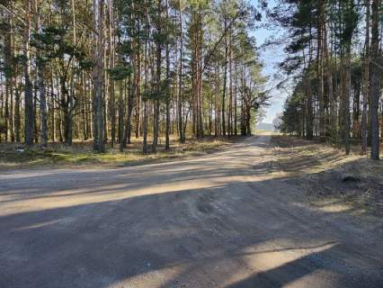 Działka budowlana o pow. 950m2, gm. Ceków- Kolonia