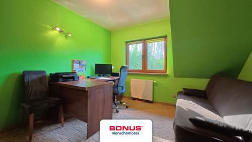 Pół bliźniaka w Puszczy Bukowej