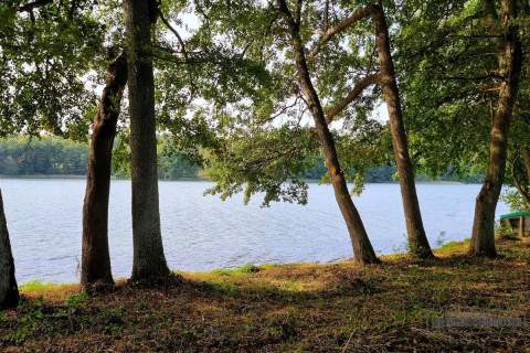 Dostęp do jeziora Dołgie, ok.190 m linii brzegowej
