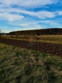 Rusicice, gm. Czernichów. 27 ar w zielonej okolicy