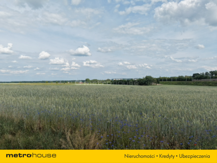Działki usługowe 95 ar - 1 km od Bolesławca