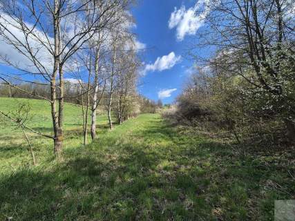 5,28 ha gruntów rolnych z punktem widokowym