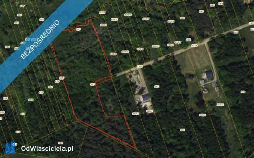 Rększowice Leśna enklawa 1,77 ha z łąką blisko Częstochowy