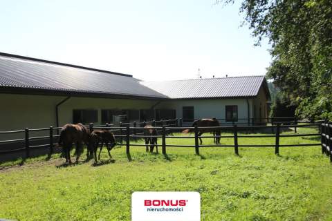 Dom na sprzedaż, 162 m2, Dobropole