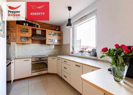 Piękny widok na zatokę i panoramę miasta