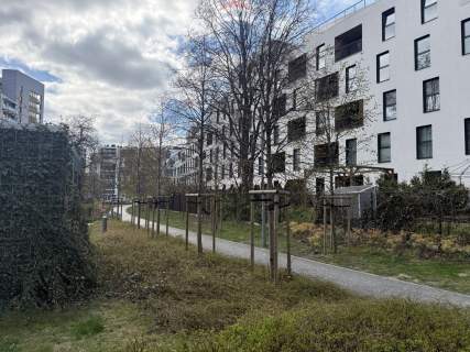 Apartamentowiec, umeblowane, okna na skwer, 2 pok.