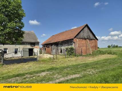 Dom parterowy, duża działka, Gorzesław gm Bierutów