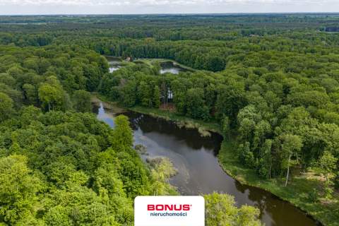 Prywatny kompleks wodny w środku lasu