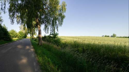 Działka - Łęcze