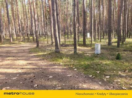 Na sprzedaż działka z domkiem holenderskim 2217m2