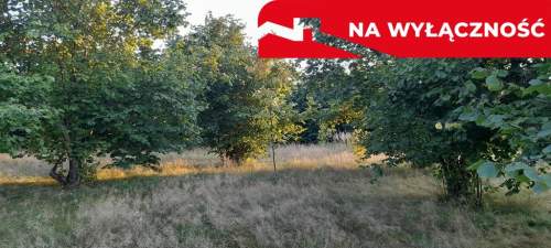 Ładna, uzbrojona działka pod lasem-33a-Wilczopole