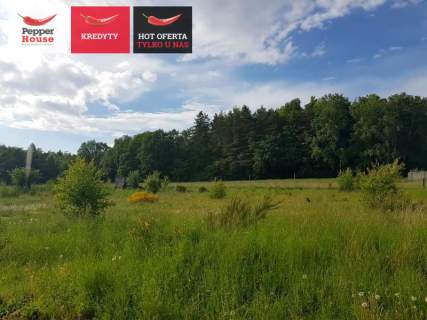Działka-Łężyce
