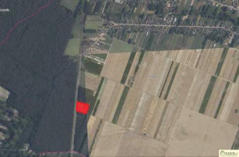 OSTATNIA Działka w Krynce k. Łuków OKAZJA